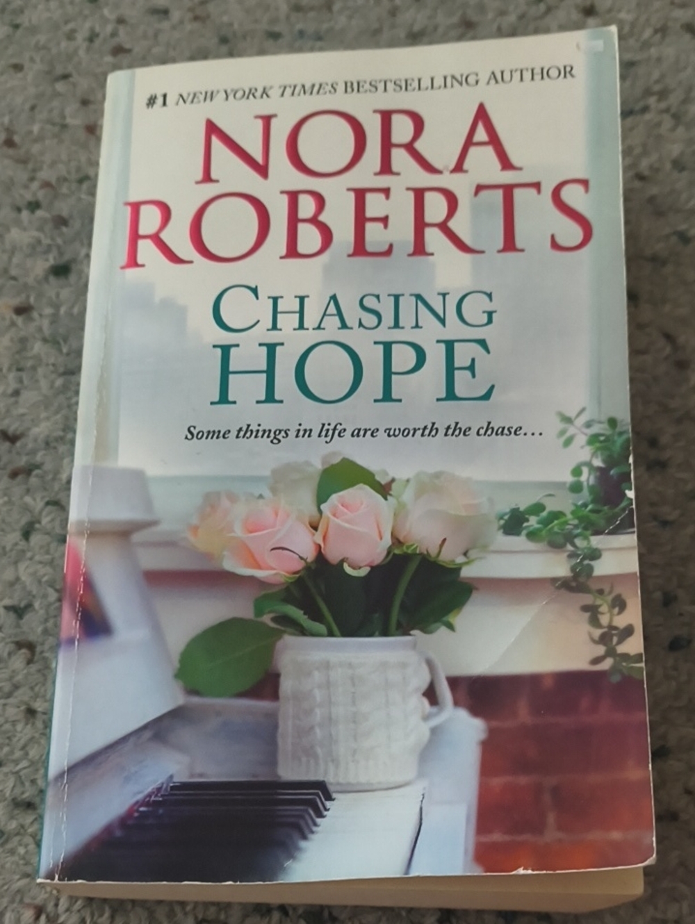 - Chasing Hope Paperback with Pink & Green Cover